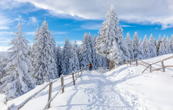 Winter, frost, forest, the sky, clouds, light, snow, mountains