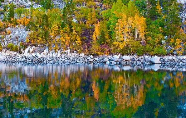 Picture autumn, trees, lake, reflection, stones, slope