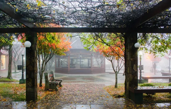 Autumn, bench, the city, rain, rain, autumn, bench, city​​