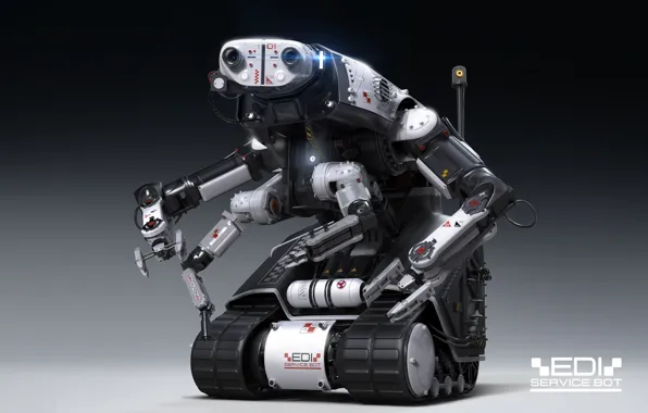 Robot, Igor Sobolevsky, advanced technology, EDI service bot