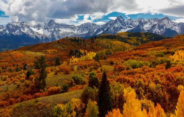 Autumn, forest, snow, mountains, the slopes