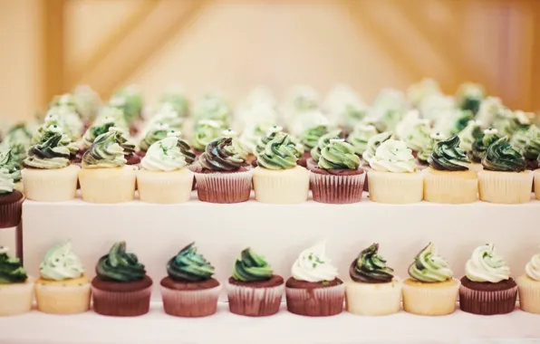 Sweets, cream, cakes, shelves, cupcakes