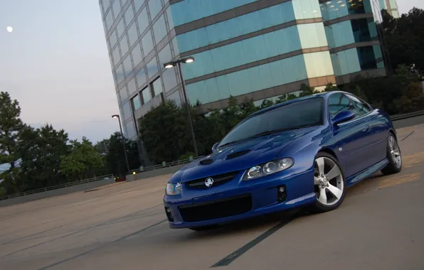 Blue, Parking, Monaro, Cyti, Lowered