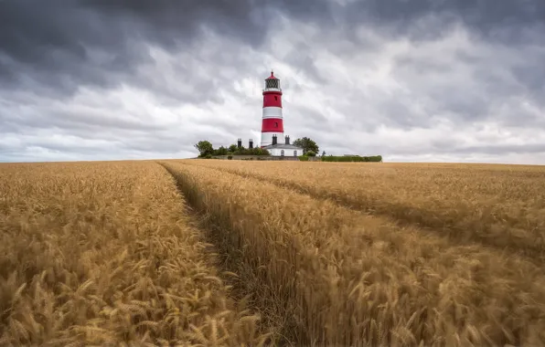 Picture field, clouds, red, lighthouse, track, ears, cereals