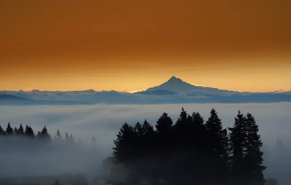 Forest, mountains, the city, lights, fog, the evening, mount Hood, Eastern Oregon