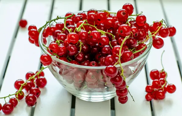 Picture berries, table, plate, red, currants