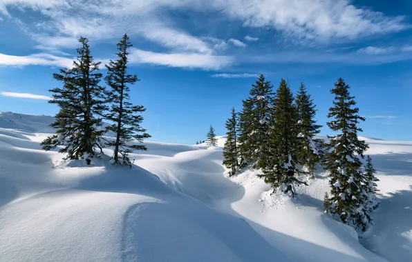Winter, snow, trees, Austria, ate, Alps, the snow, Austria