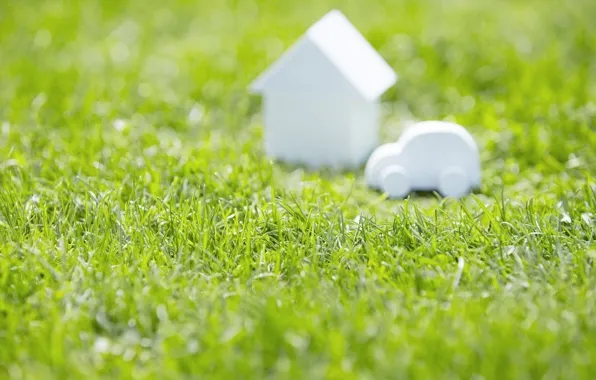Picture BACKGROUND, GRASS, FOCUS, HOUSE, GREENS, MACHINE, SPRING, GREEN