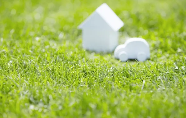 BACKGROUND, GRASS, FOCUS, HOUSE, GREENS, MACHINE, SPRING, GREEN