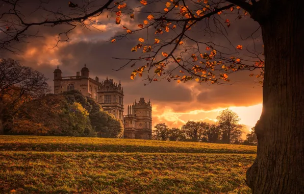 Autumn, light, castle, tree, England, Palace