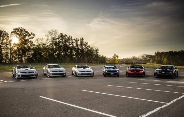 Camaro, 1967, Camaro, zl1, z28, 2013, 2014
