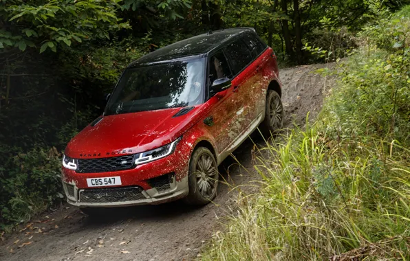 Road, forest, vegetation, dirt, Land Rover, black and red, Range Rover Sport Autobiography