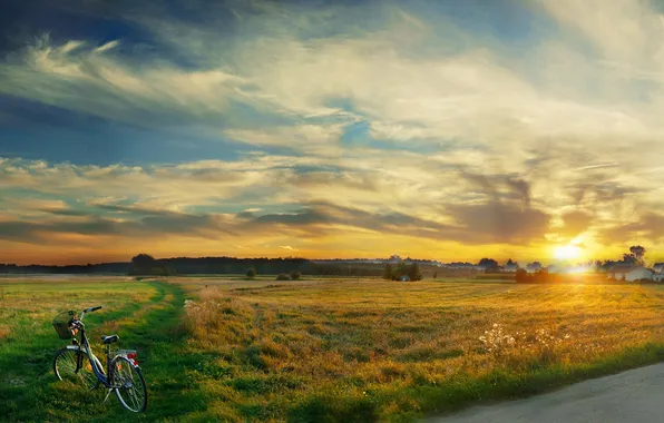 Road, grass, bike, fog, building, morning, buildings