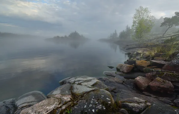 Picture the sky, clouds, trees, fog, stones, shore, morning, haze