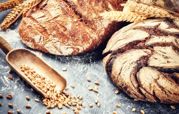 Wheat, grain, bread, fresh, cakes, roll, flour, bread