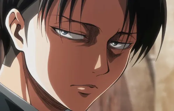 Attack on Titan, Attack of the titans, Levi