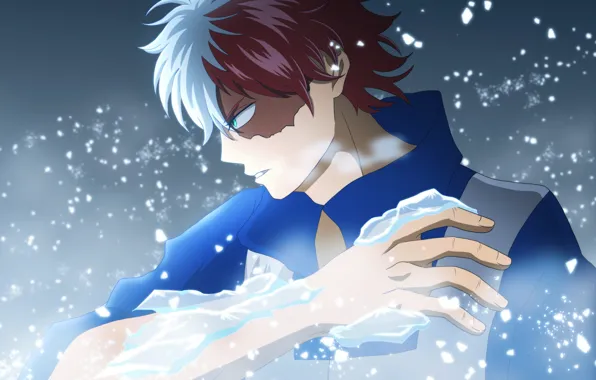 Ice, My Hero Academia, Boku No Hero Academy, Todoroki Shoto, My Hero Academy