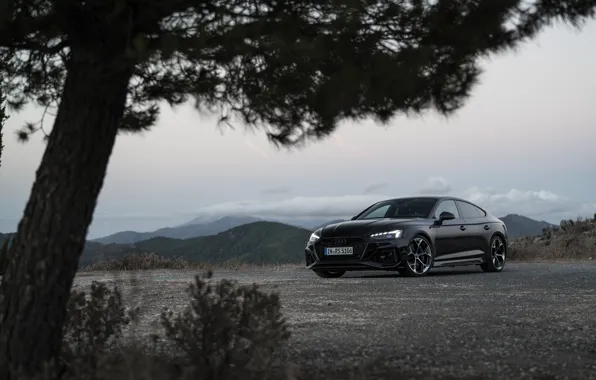 Picture Audi, black, RS5, Audi RS 5 Sportback competition plus