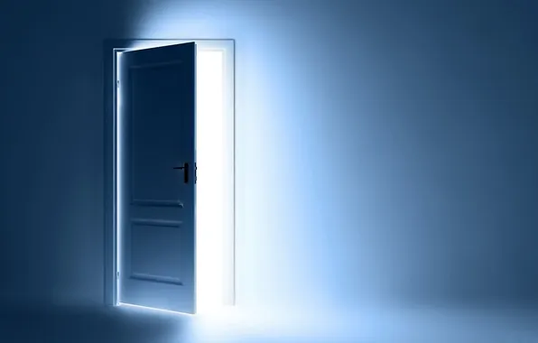 The DOOR, LIGHT, FRAME, WOODEN