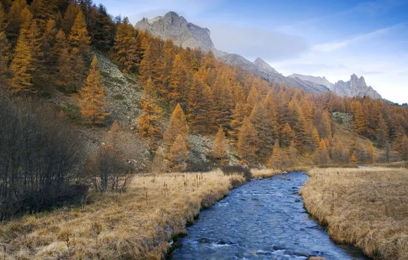 Picture forest, the sky, landscape, river, Autumn, valley