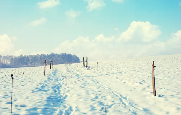 Winter, landscape, nature