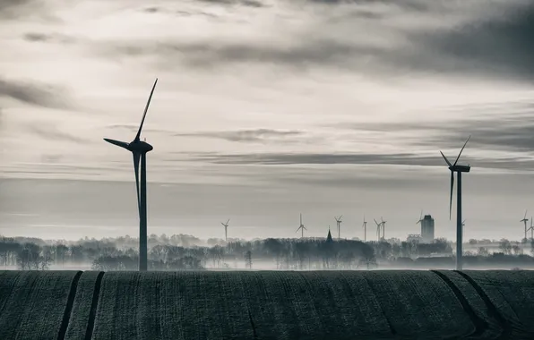 Landscape, sunset, windmills