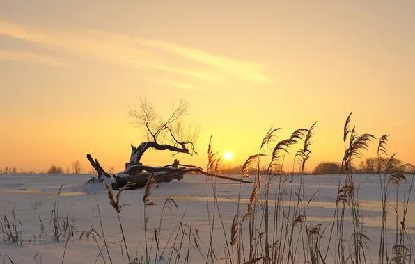 Winter, snow, sunset