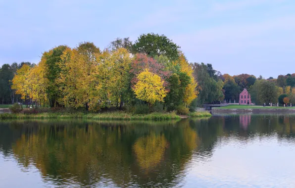 Picture the city, lake, Moscow, morning, estate, Sheremetyevo, Kuskovo