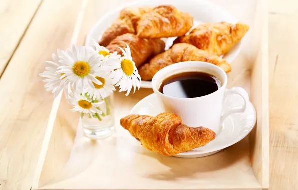Picture flowers, coffee, chamomile, Breakfast, flowers, coffee, croissants, Breakfast