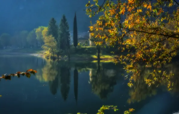 Autumn, trees, branches, lake, Italy, Italy, Lombardy, Lombardy
