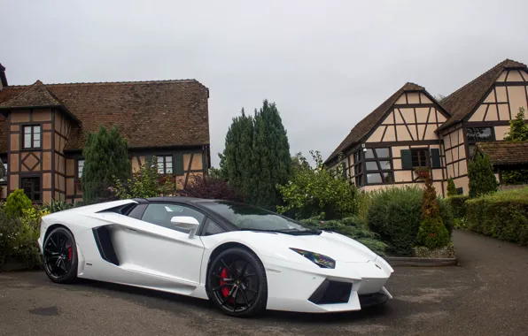 Roadster, Lamborghini, White, Aventador, LP 700-4