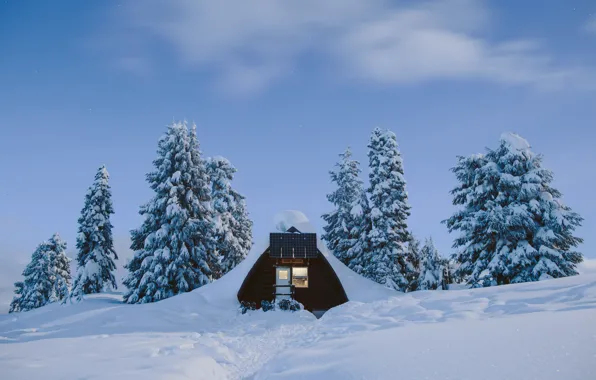 Clouds, Sky, Winter, Landscape, Snow, Trees, Hotel Room, Wilderness