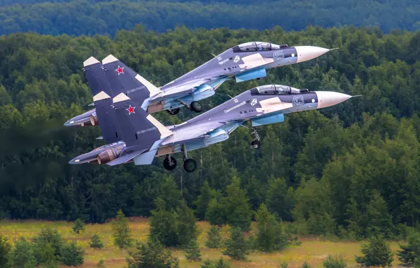 Fighter, multipurpose, Su-30CM, Su-30 SM