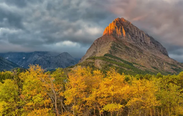 Picture autumn, forest, the sky, clouds, trees, mountain