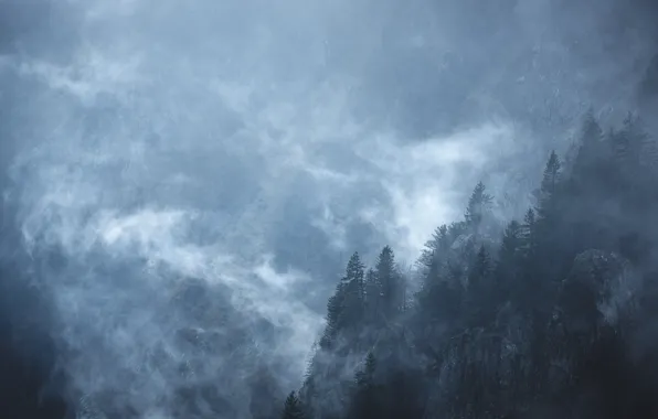 Trees, mountains, nature, fog, rocks