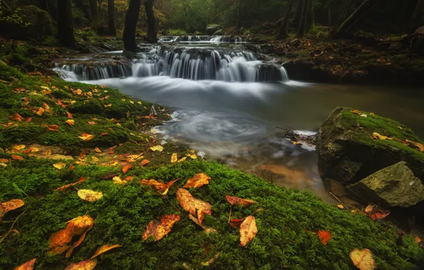 Autumn, forest, leaves, water, stones, waterfall, stream, river