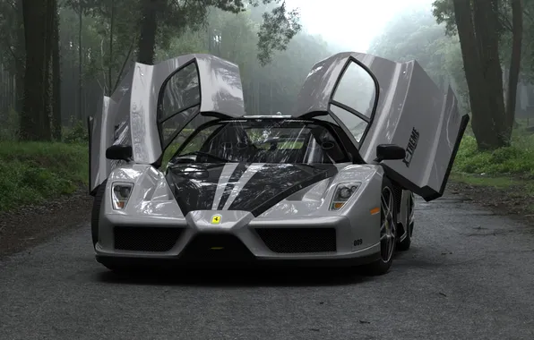 Road, forest, Ferrari, enzo