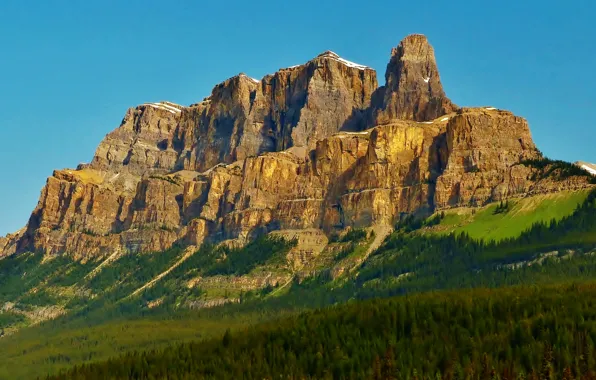 Picture the sky, trees, Canada, Albert, Castle Mountain, Castle hill