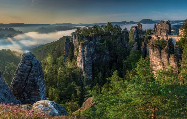 Forest, cliffs, construction