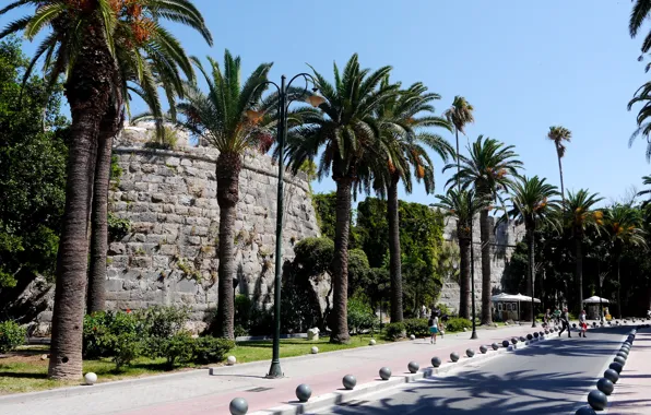 Road, palm trees, wall, Wallpaper, Greece, Greece, Kos