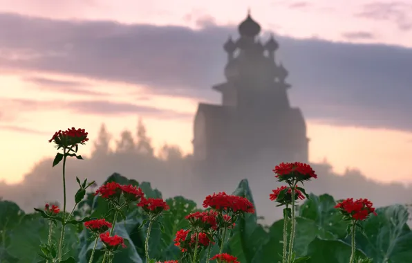 Picture flowers, temple, Arkhangelsk oblast, Podporozhye