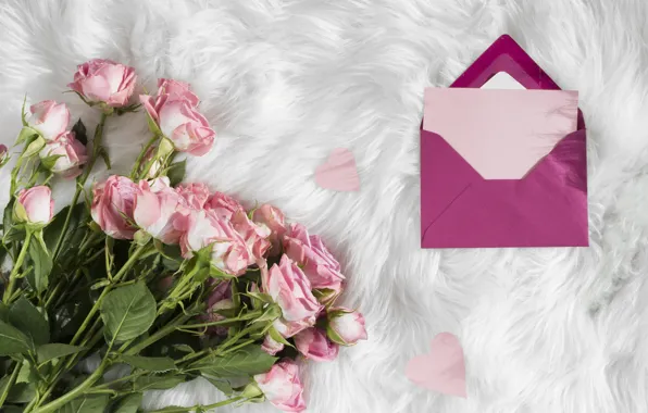 Love, roses, bouquet, fur, the envelope