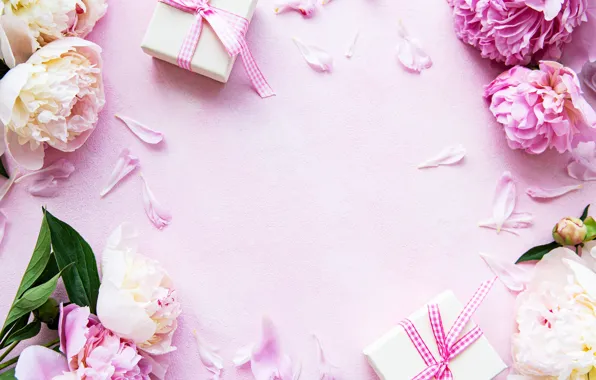 Background, pink, holiday, gifts, peonies, composition, Olena Rudo