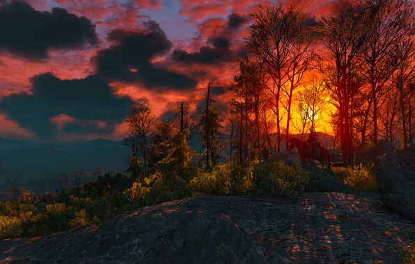 The witcher, The Witcher, Herald, The Witcher 3: Wild Hunt, The Witcher 3: Wild Hunt, …