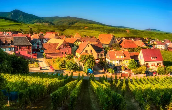 Greens, field, summer, the sky, France, home, Sunny, the village