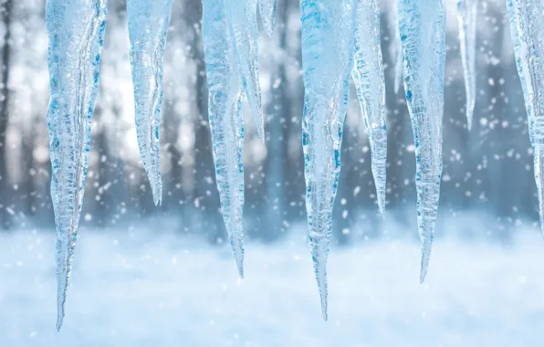 Winter, snow, nature, glade, ice, texture, icicles, Christmas