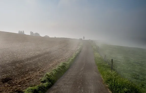 Picture road, field, fog