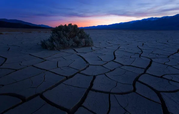 Sunset, mountains, night, cracked, desert, Bush, drought, the evening