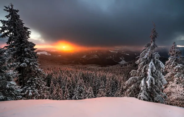 Winter, forest, the sky, the sun, snow, sunset, mountains, clouds