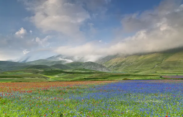 Field, the sky, clouds, flowers, mountains, valley, Italy, Umbria